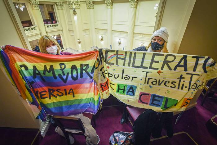 Votación del proyecto de Ley de Promoción del Acceso al Empleo Formal para Personas Travestis, Transexuales y Transgénero, el 24 de junio de 2021, en el recinto del Senado Argentino. · Foto: Delfina Linares, Comunicación Senado Argentino