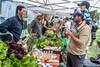 Muestra Nacional de la Agroecología en el parque Artigas de Sauce, Canelones (archivo, noviembre de 2019). · Foto: Javier Calvelo, adhocFOTOS Muestra Nacional de la Agroecología en el parque Artigas de Sauce, Canelones (archivo, noviembre de 2019). · Foto: Javier Calvelo, adhocFOTOS