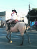 escuela a caballo