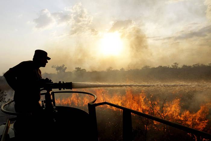 Incendio en una extensión de bosques próxima al Pantanal, el 14 de agosto en Brasil. · Foto:  Fernando bizerra jr, Efe