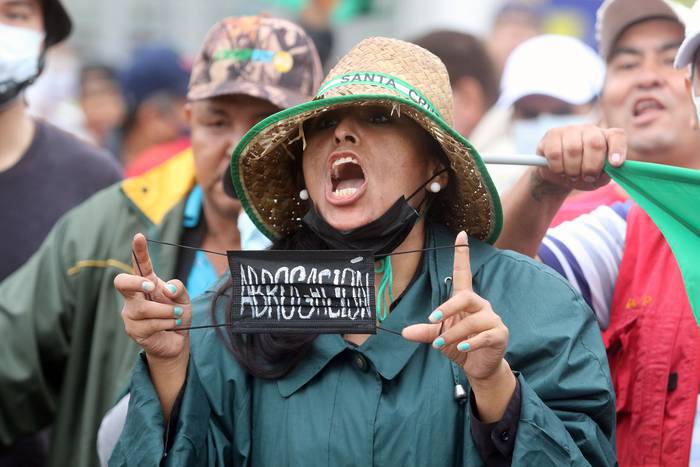 Opositores al gobierno de Bolivia protestan exigiendo la anulación del proyecto de ley 218, ayer, en Santa Cruz,Bolivia. · Foto: Juan Carlos Torrejon, EFE