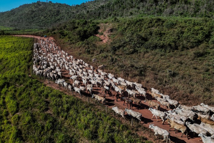 Carretera en San Félix de Xingu, estado de Pará, Brasil. · Foto: Nelson Almeida, AFP