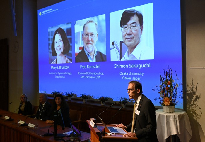 Thomas Perlmann, Secretario General del Comité Nobelse, muestra a los ganadores del Premio Nobel de Medicina 2025, Mary E Brunkow, Fred Ramsdell y Shimon Sakaguchi, el 6 de octubre, en el Instituto Karolinska de Estocolmo, Suecia. Foto: Jonathan Nackstrand, AFP.