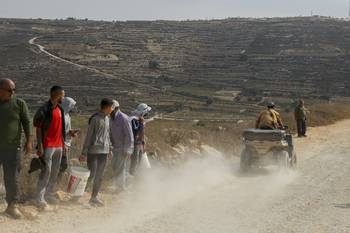 Un colono israelí levanta polvo al pasar junto a agricultores palestinos que abandonan la zona tras protestar contra la ocupación de sus tierras, cerca de Hebrón, en la Cisjordania ocupada, el 13 de noviembre. · Foto: Mosab Shawer / AFP