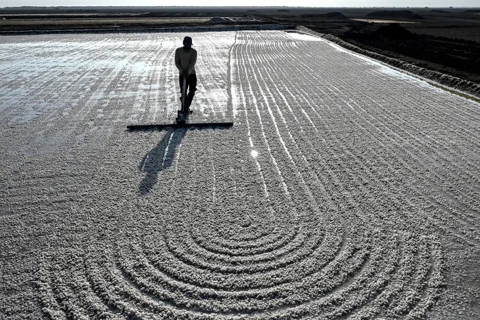 Producción de sal, el 29 de junio, en la región de Gujarat, India. · Foto: Shammi Mehra, AFP