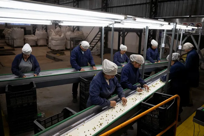 Fábrica de pistachos, el 24 de junio, en San Juan, Argentina. Foto: Luis Robayo