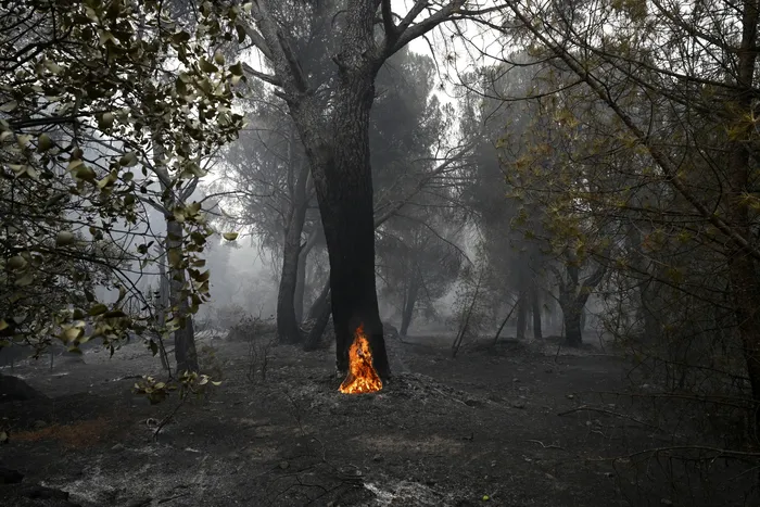 La Adrada, el 26 de julio, al oeste de Madrid. Foto: Miguel Riopa, AFP