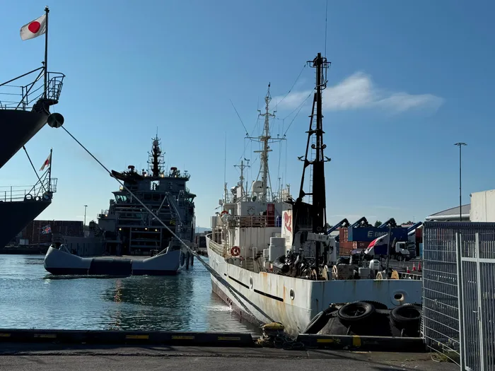 Buque Bandero, propiedad de la fundación del activista por los derechos de los animales Paul Watson, atracado junto a un barco de la Guardia Costera islandesa en el puerto de Reikiavik, Islandia.
Foto: Captain Paul Watson Foundation UK, AFP