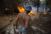 Incendios en la zona de Pinar Norte, el 12 de febrero de 2023, en Canelones
Foto: Camilo Dos Santos