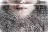 29 20230415 ARTE CDF 2
