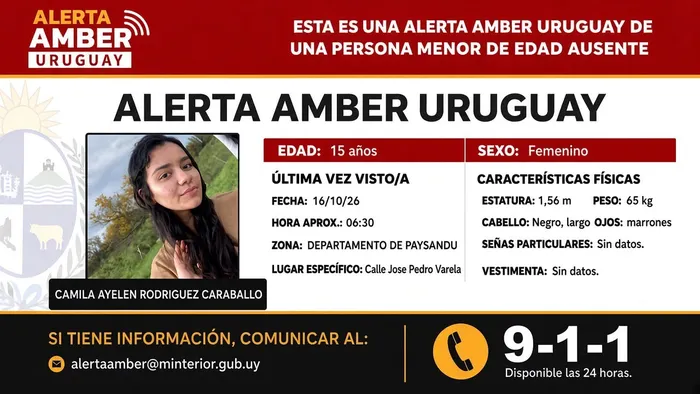 Alerta Amber. Foto: Ministerio del Interior