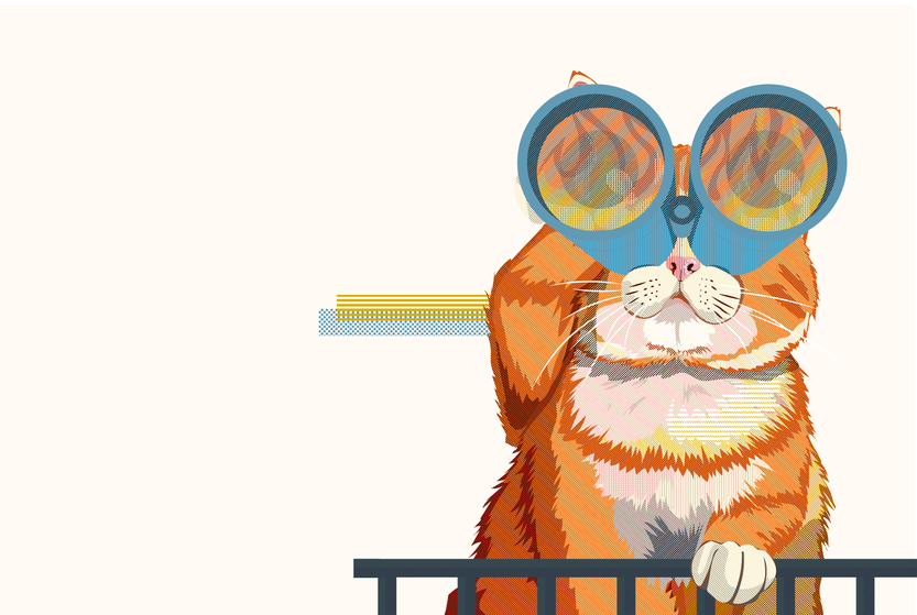 Argentina sin cepo, ilustración