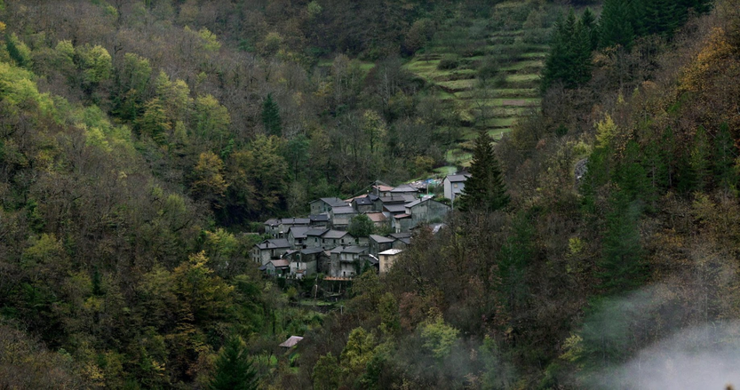 20220823 Bosco