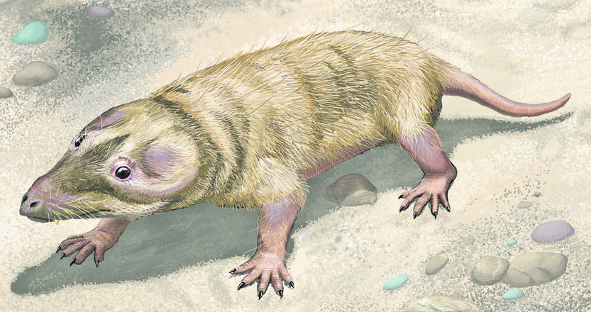 Brasilitherium riograndensis, recreación de Smokeybjb.