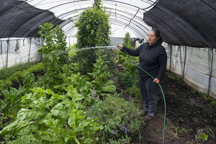 20221025 SUPLE AGROECOLOGIA calmañana