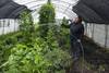 20221025 SUPLE AGROECOLOGIA calmañana