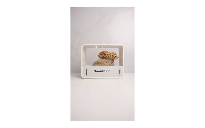 30 20250125 C&B Smart Fungi
