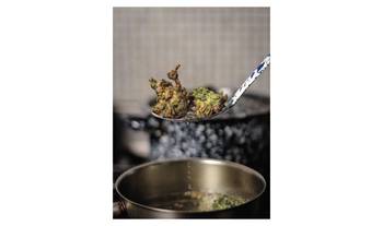 Foto principal del artículo 'Otros ingredientes de la costa: algas, salicornias y frutillas de mar' · Foto: Difusión