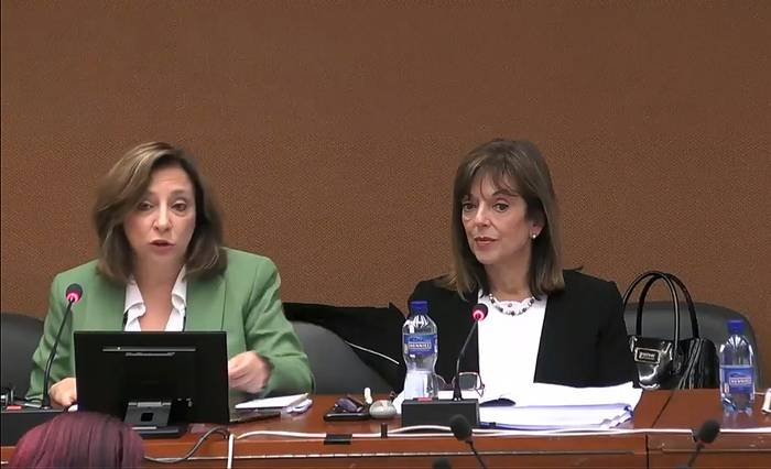 Mónica Bottero y Ana Ribeiro, el 20 de octubre, durante la comparecencia ante el Comité para la Eliminación de la Discriminación hacia la Mujer. Foto: Captura