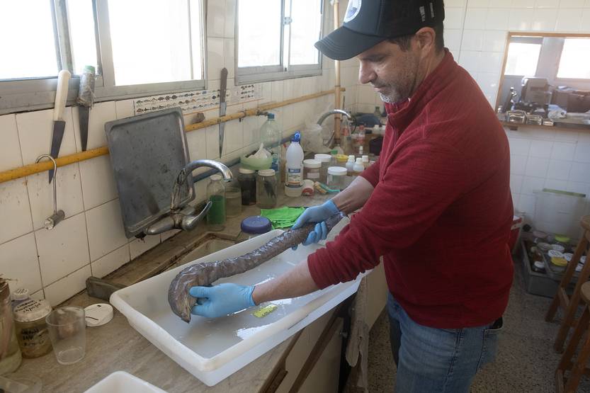 20251010 CIENCIA Pesca recreativa