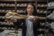 Meica Valdivia ,Investigadora especializada en mamíferos marinos, el 24 de junio de 2021, en el museo de Historia Natural.
Foto: Alessandro Maradei