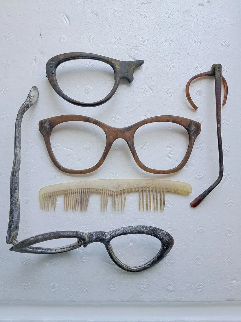 20260228 ciencia pag. 13 -2