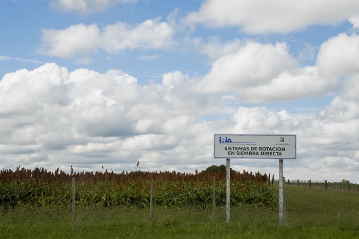 INIA La Estanzuela. (Archivo, marzo de 2022) · Foto: Ignacio Dotti