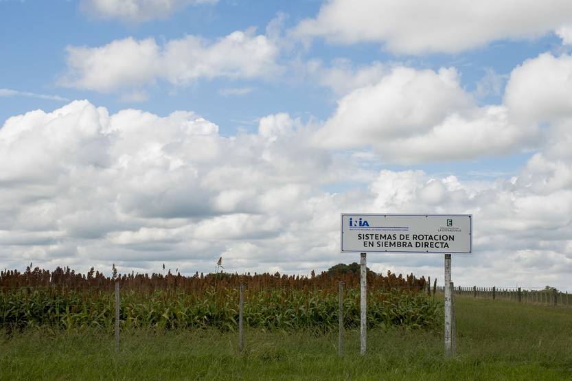 20251201 Colonia INIA