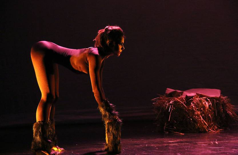 Caballo
