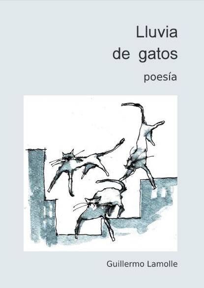 lamolle Captura.JPG3