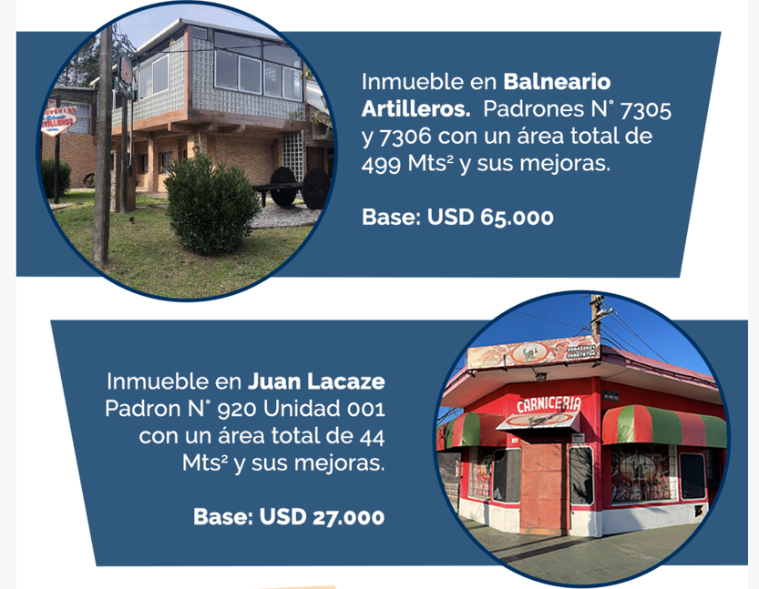20230209 Colonia