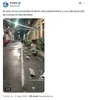 el futuro es nuestro 2 engañoso