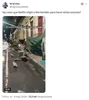 el futuro es nuestro engañoso 4