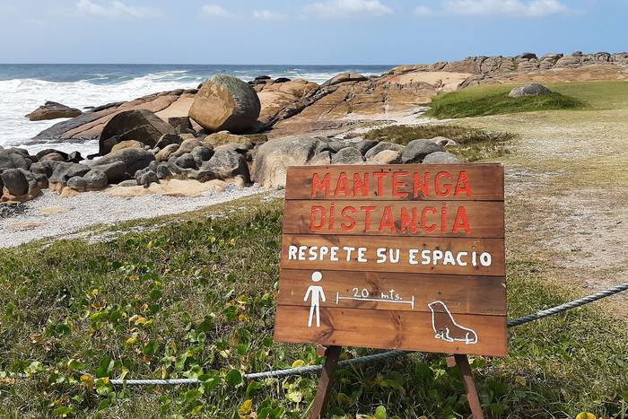 Cartel en zona de lobos de Cabo Polinio, 2020.
Foto: Diana Szteren