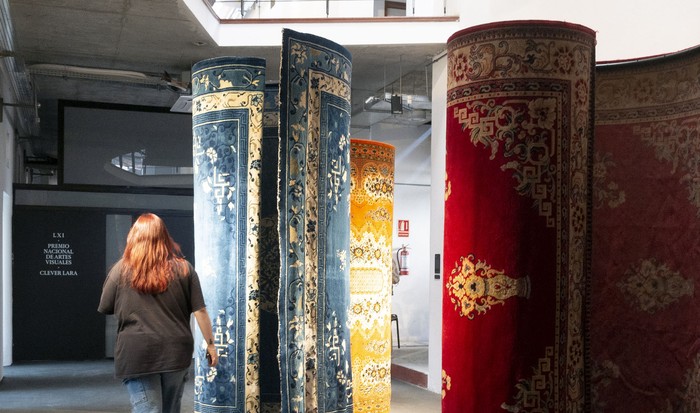 Instalación de Francesca Casariego en el Espacio de Arte Contemporáneo. · Foto: Manuela Aldabe