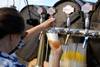 30 20220702 genérica comer Birreros Unidos