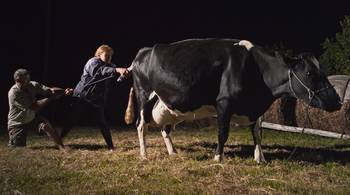 Foto principal del artículo '¿Sabemos qué nos alimenta? Estrena el documental Chacra'