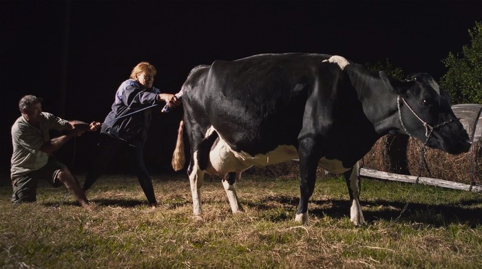 Foto: Captura de pantalla, s/d de autor