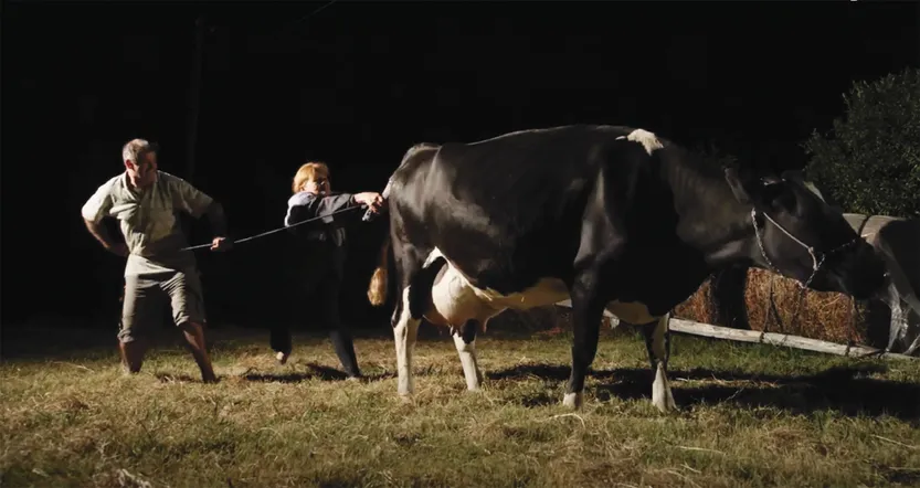 Documental Chacra 02