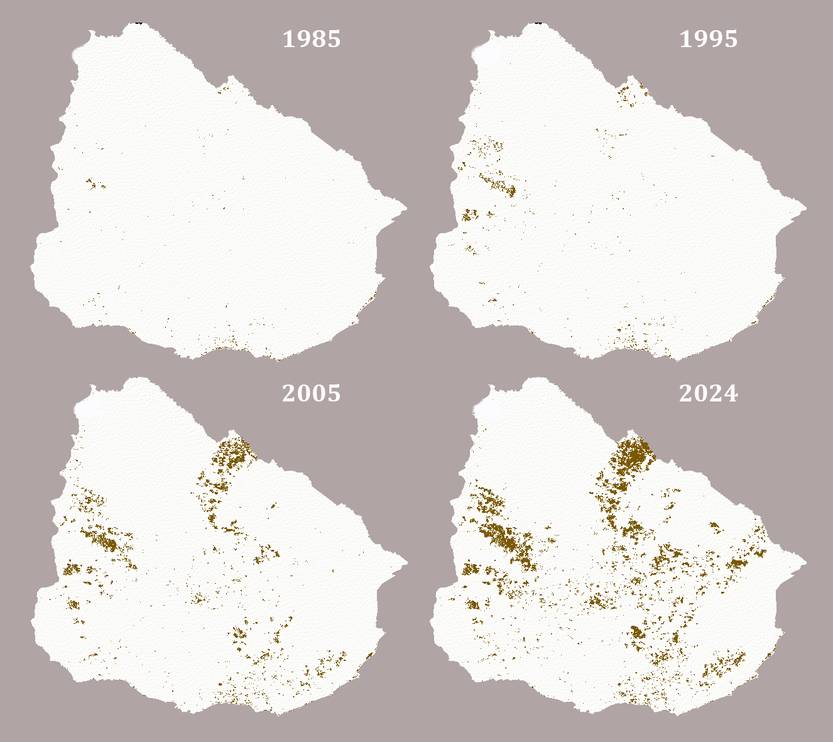 20251129 CIENCIA Pastizales 2