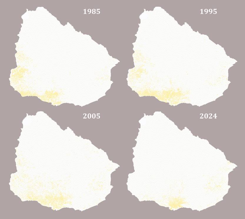20251129 CIENCIA Pastizales 3