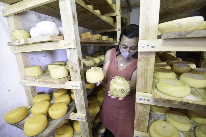 Adriana Brun, del establecimiento La Faustina, tambo y fábrica de quesos.

 · Foto: Federico Gutiérrez