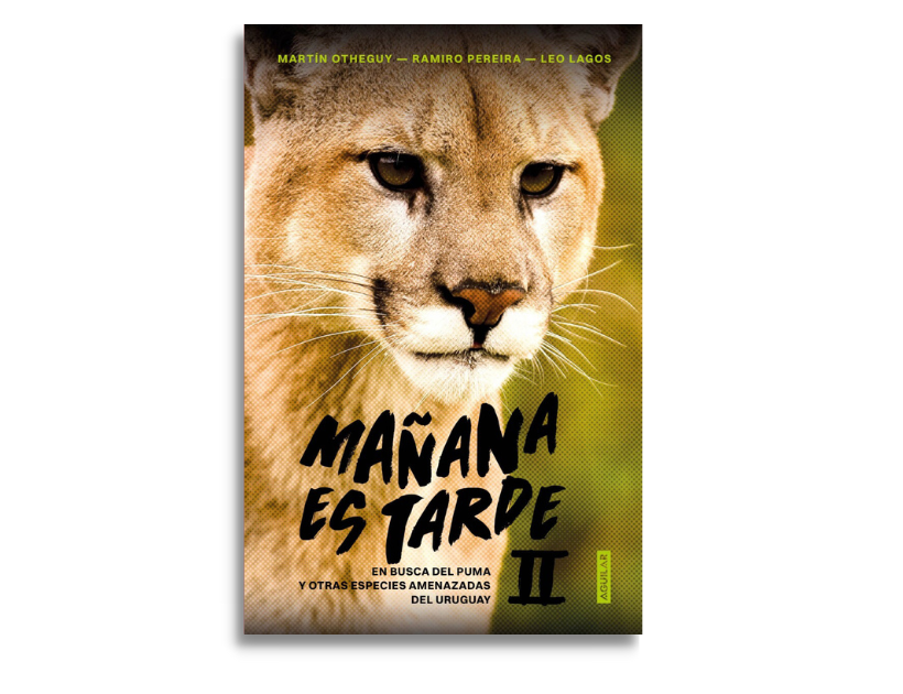 Mañana es tarde II, tapa editada
