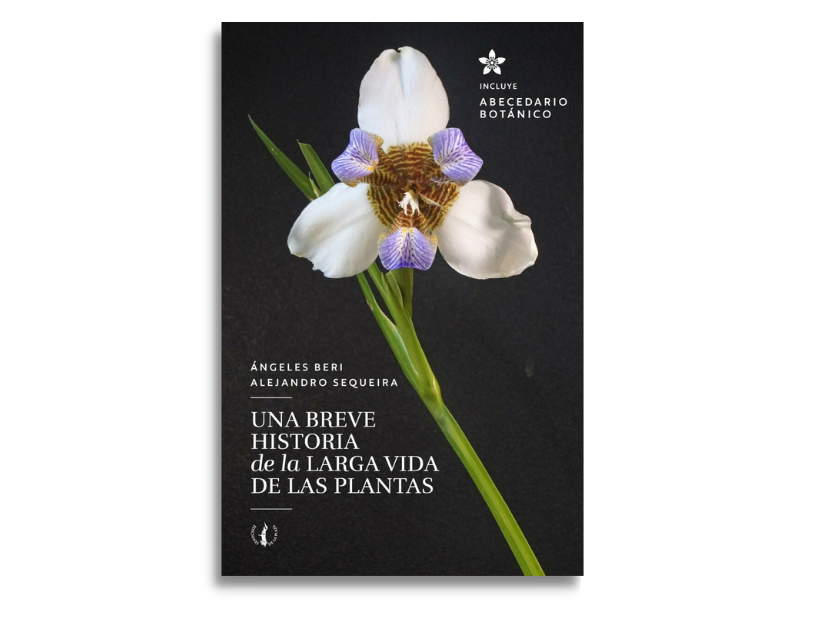 le monde 14 - Una breve historia