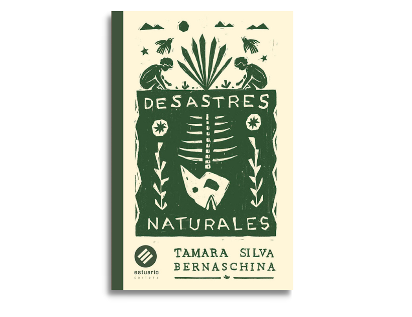 Desastres naturales, tapa editada
