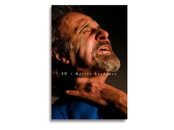 Foto principal del artículo 'Una nueva casa para textos fantasma: poesía reunida de Héctor Bardanca'