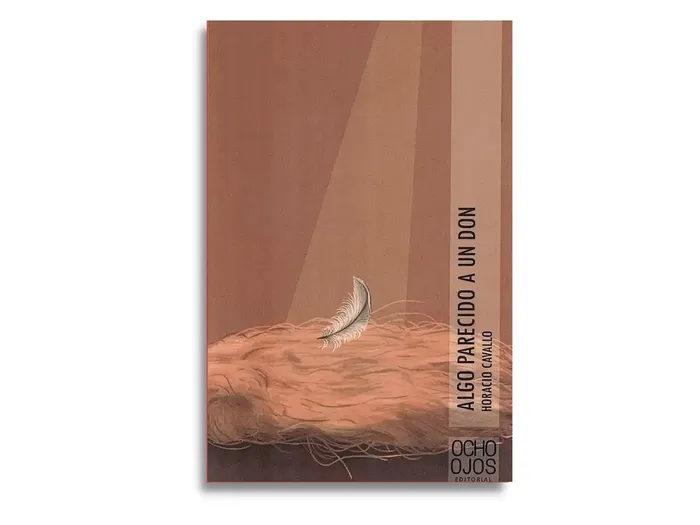 Foto principal del artículo 'Algo parecido a un don, nuevo libro de cuentos de Horacio Cavallo'