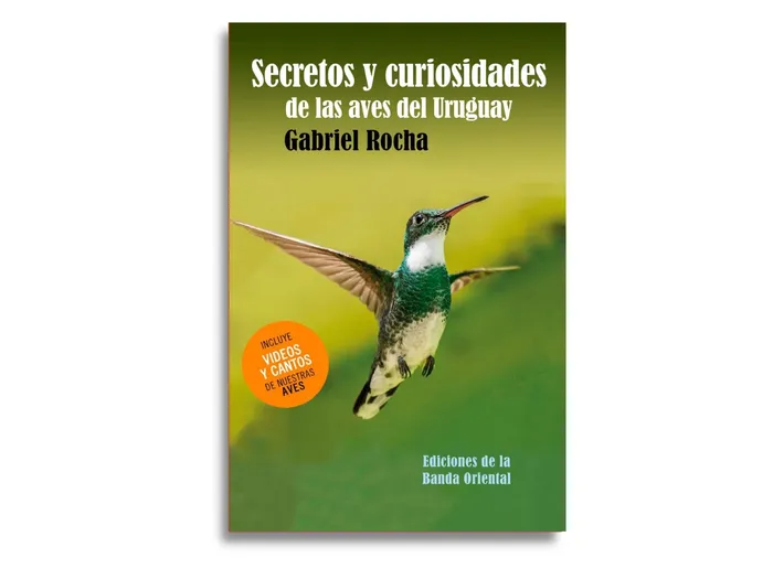 Foto principal del artículo 'Un nuevo libro indaga en los secretos y curiosidades de las aves del Uruguay'