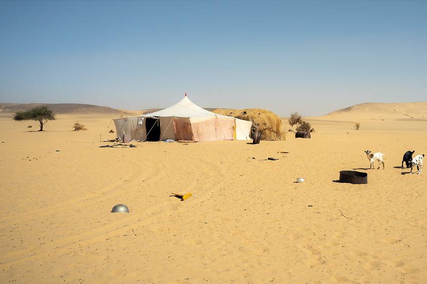 Lento 150 - Un té en el desierto 07