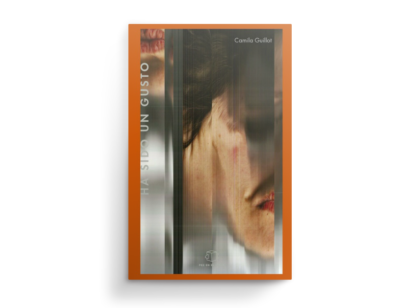 Un reflejo fugaz, tapa editada